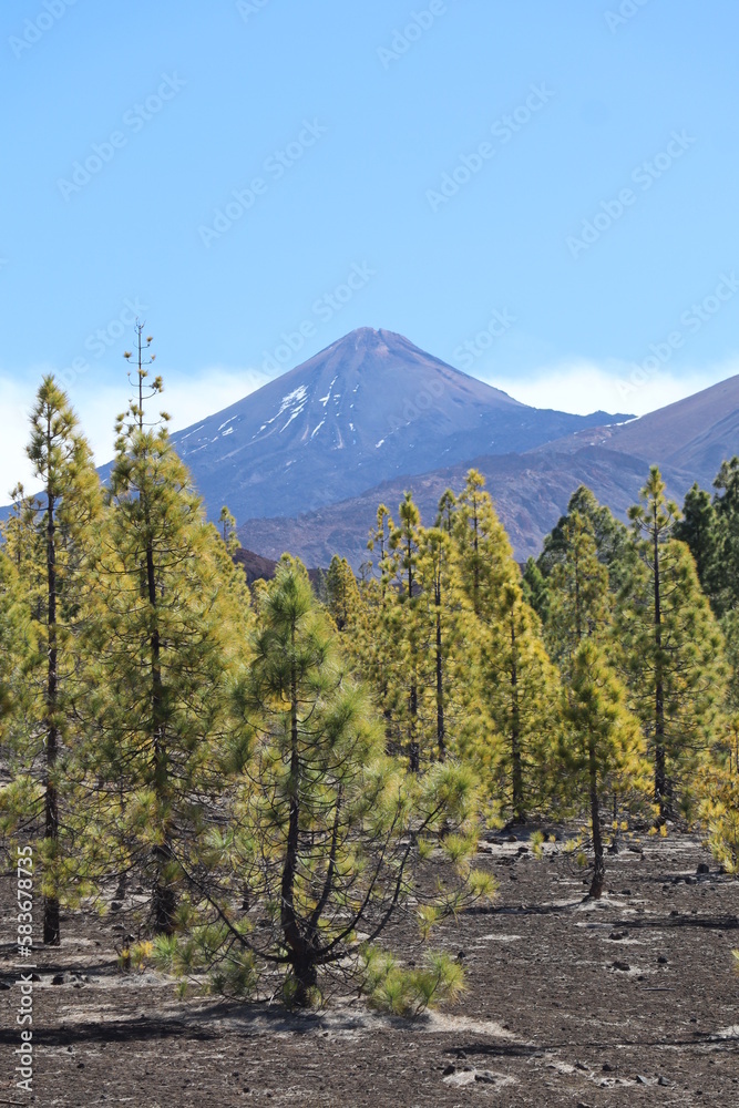 Fototapeta premium Teide, Ténérife