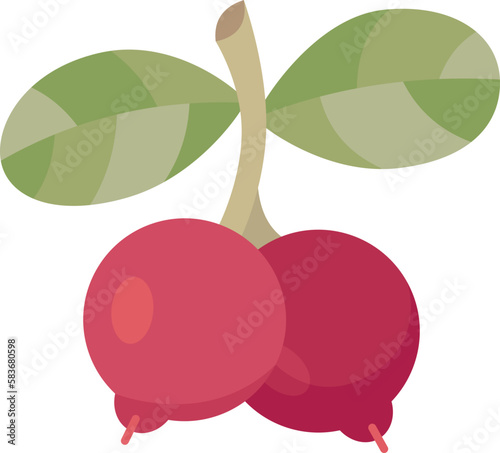 lingonberry  icon