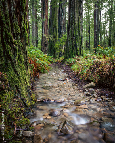 Redwood Waters