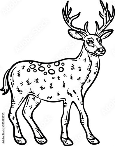 Deer Animal Coloring Page for Adult