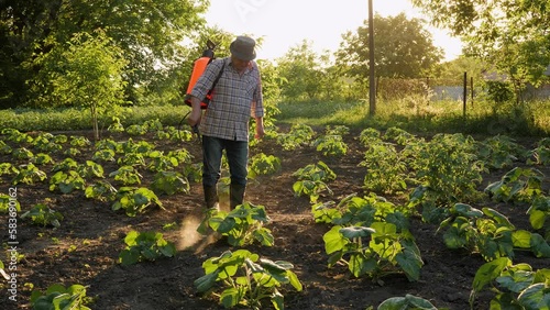 Backpack sprayer gardener working farmer spraying insecticide. Old farmer farm spraying pesticide sprayer garden farm vegetable garden spraying crop protection plant. Knapsack sprayer farmer herbicide