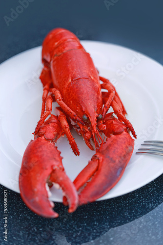 Boiled Lobster on white plate on dark table. Top view.