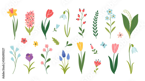 Set of spring flowers. Snowdrop, crocus, tulip, daffodil, hyacinth, muscari, lily of the valley. Wedding concept with flowers. Floral elements for greeting card or invitation design.