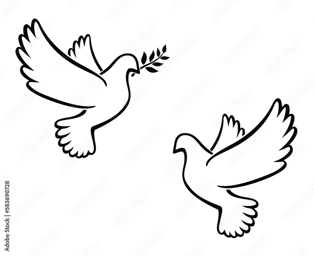 beautiful white peace dove outline