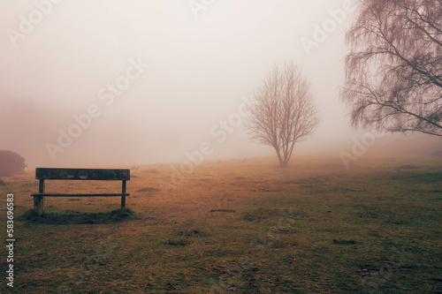 bench in the fog