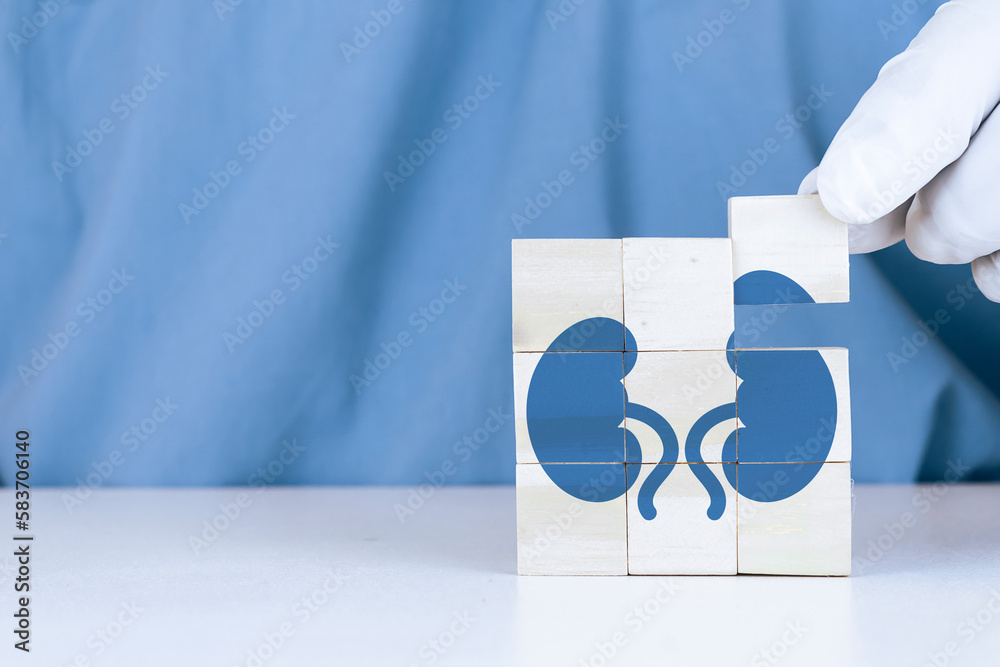 Organ donor, kidney problems, kidney pain, kidney cysts, kidney failure