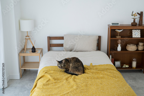 ベッドでくつろぐ猫