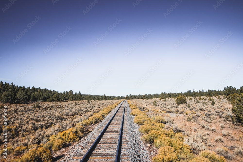 Fototapeta premium railroad tracks in the field