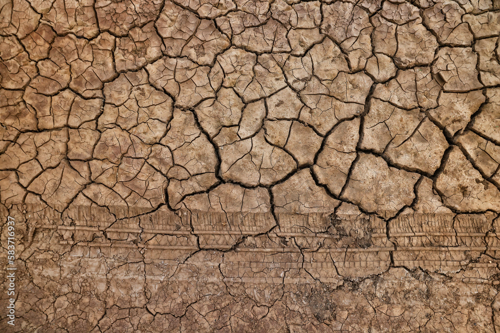 cracks on the ground desert texture background earth climate ecology cracks on the ground desert texture background earth climate ecology