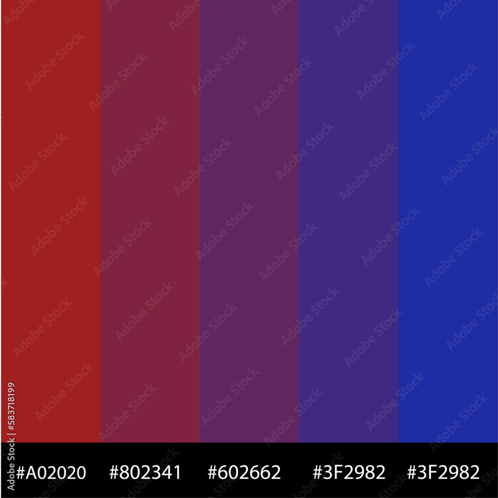 Color code vector 