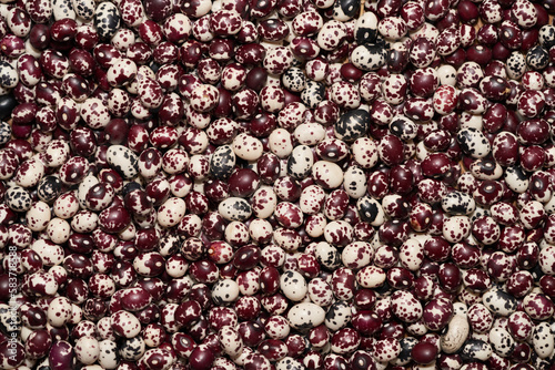 Nuna Peruvian Popping Beans