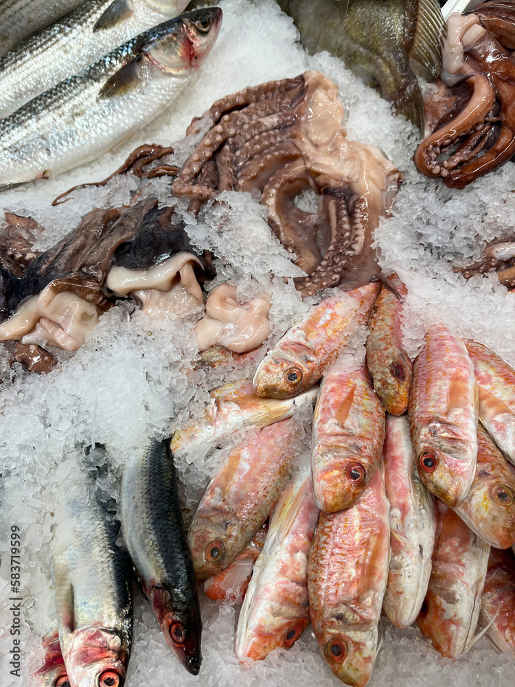 Delicious ocean fish and squid, freshly laid on ice, available at the fish shop Delicious ocean fish and squid, freshly laid on ice, available at the fish shop