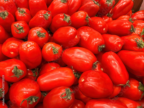 Fresh, ripe elongated tomato Torino,  available on the grocery store shelf © VGV