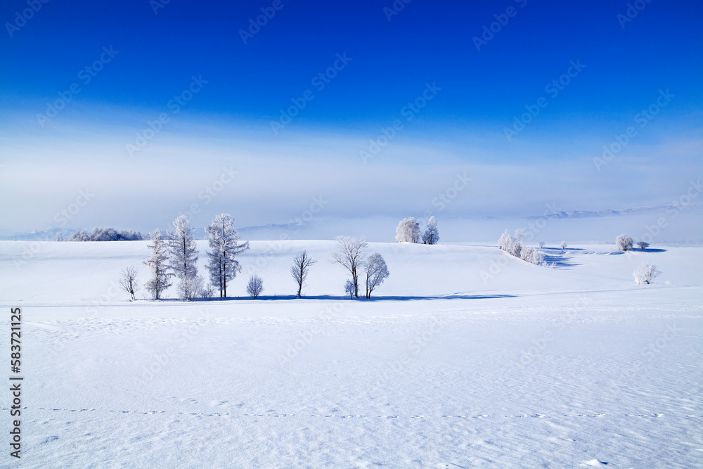 凍て付いた霧氷の丘（美瑛町）