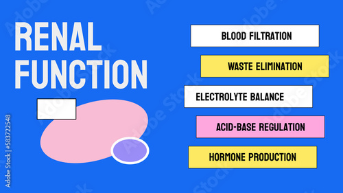 Renal Function: Kidney's ability to filter blood.