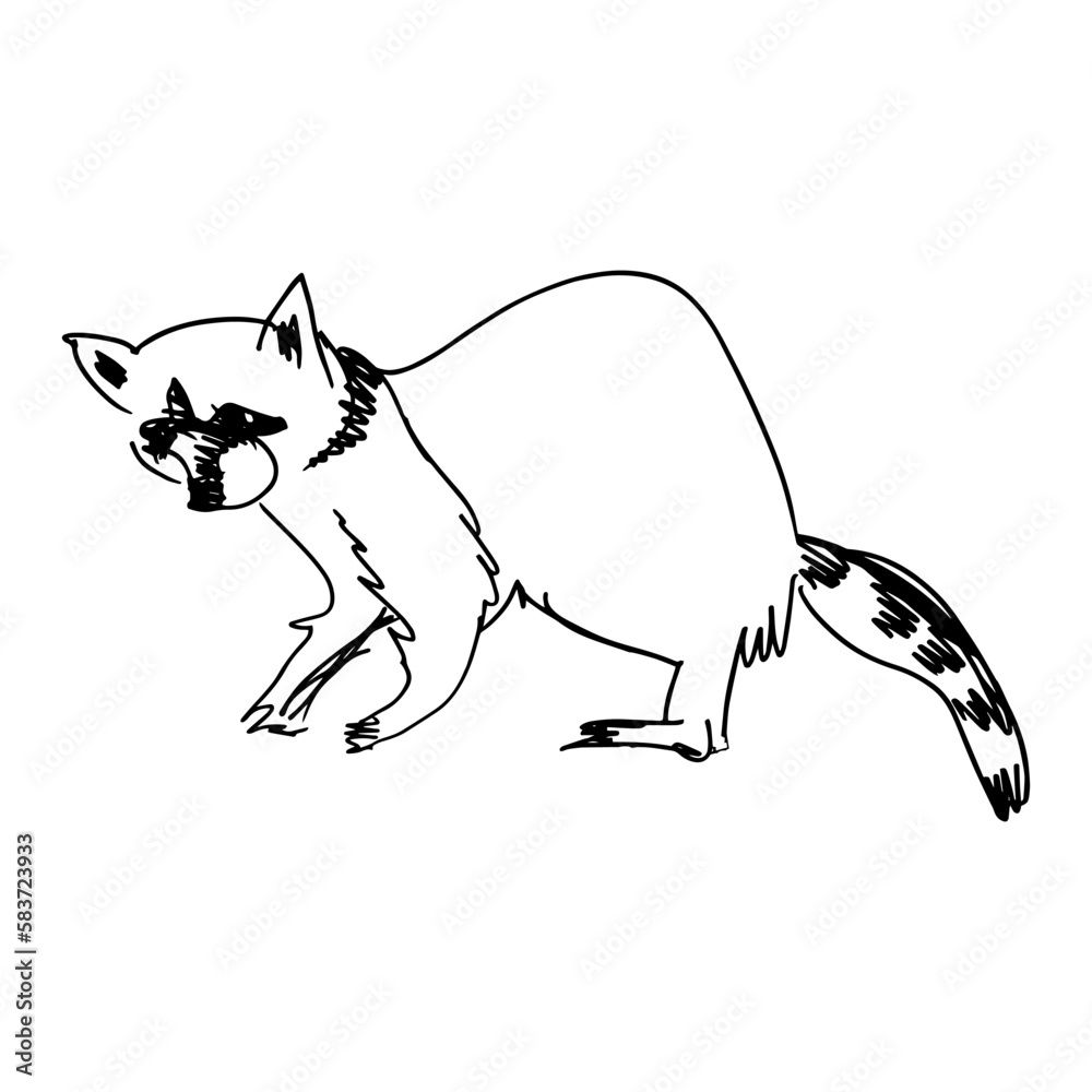 Abstract, minimalistic sketch of a raccoon with simple lines. Ideal ...