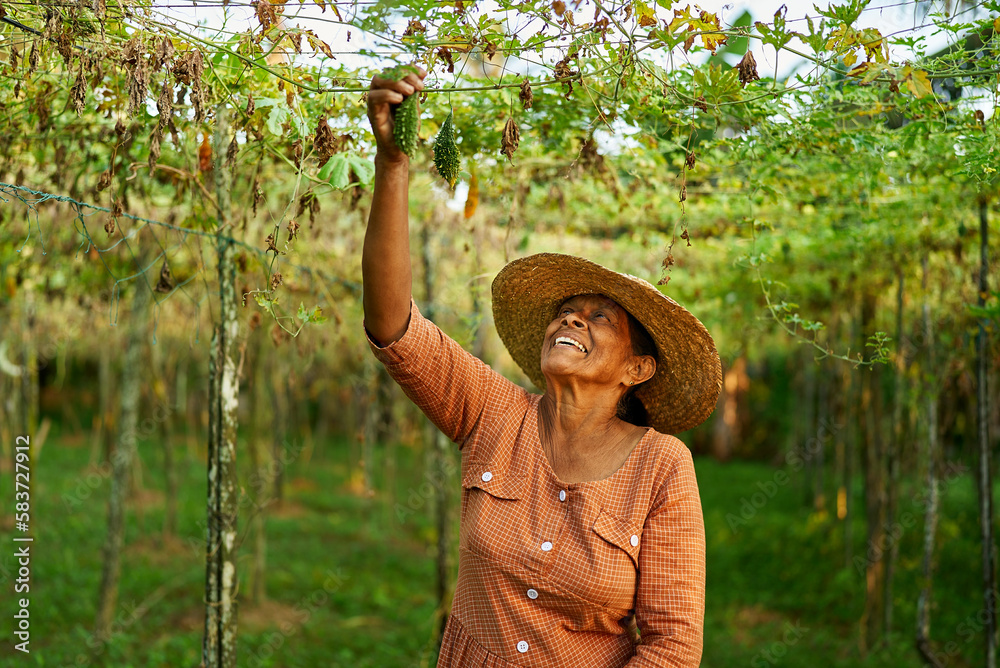 Senior Indian rural female farmer holding her vegetables harvest ...