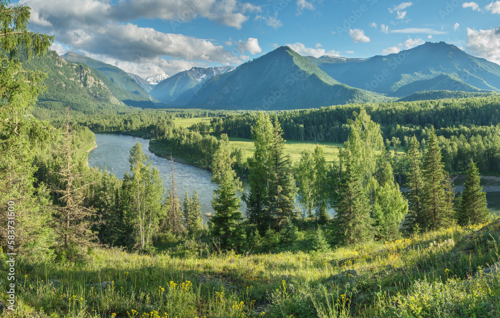 Picturesque mountain valley on a sunny summer day, wild river - obrazy, fototapety, plakaty 