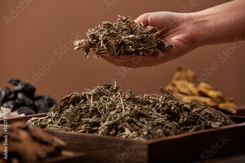 Female hand holding a handful of dried wormwood in brown background with traditional medicines. Wormwood has effect of regulating menstruation, treating colds and coughs, pregnancy, acne treatment. photo