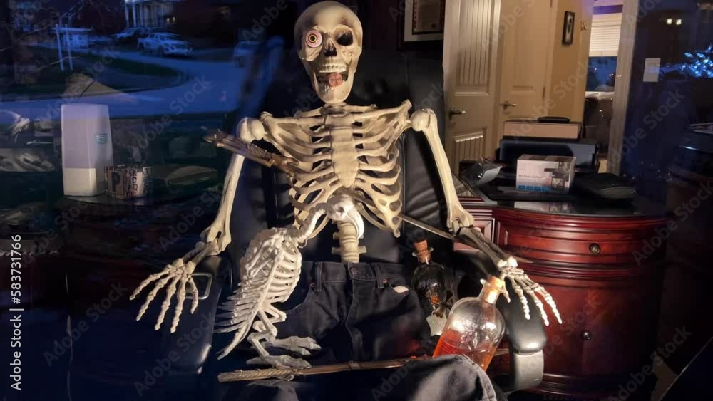 The skeleton is sitting on a chair he has an inserted eye he is looking out the window holding a bottle of rum in his hands wearing a sword and he is wearing black jeans Halloween Canada