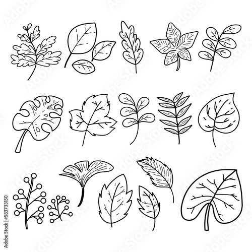Set of leaves hand-drawn vector outline sketch collection