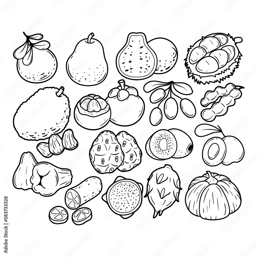 Fruit Line Drawing Images  Free Download on Freepik