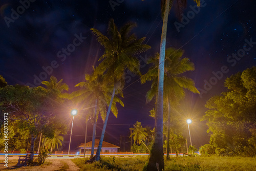 Beautiful coconut trees scenery during night at Kampung Jambu Bongkok, Marang, Terengganu, Malaysia photo