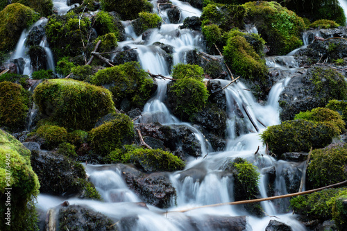 Fototapeta Naklejka Na Ścianę i Meble -  waterfall in the forest