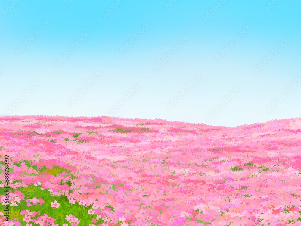 Obraz premium 芝桜と青空が綺麗な春の背景イラスト