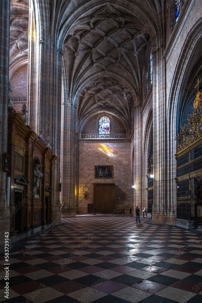 Female tourist inside the Cathedral of Segovia Spain