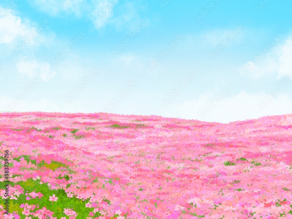 Obraz premium 芝桜と雲の浮かぶ青空が綺麗な春の背景イラスト