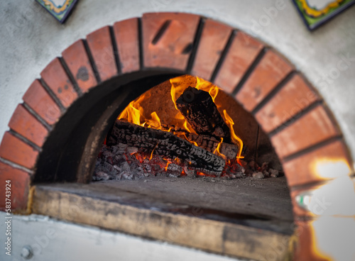 Brick Oven Pizza Cooker photo