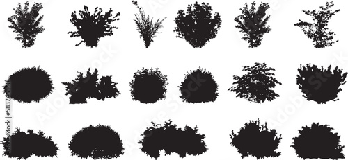 Photo set of bush grass shrub silhouette vector transparent background eps 10