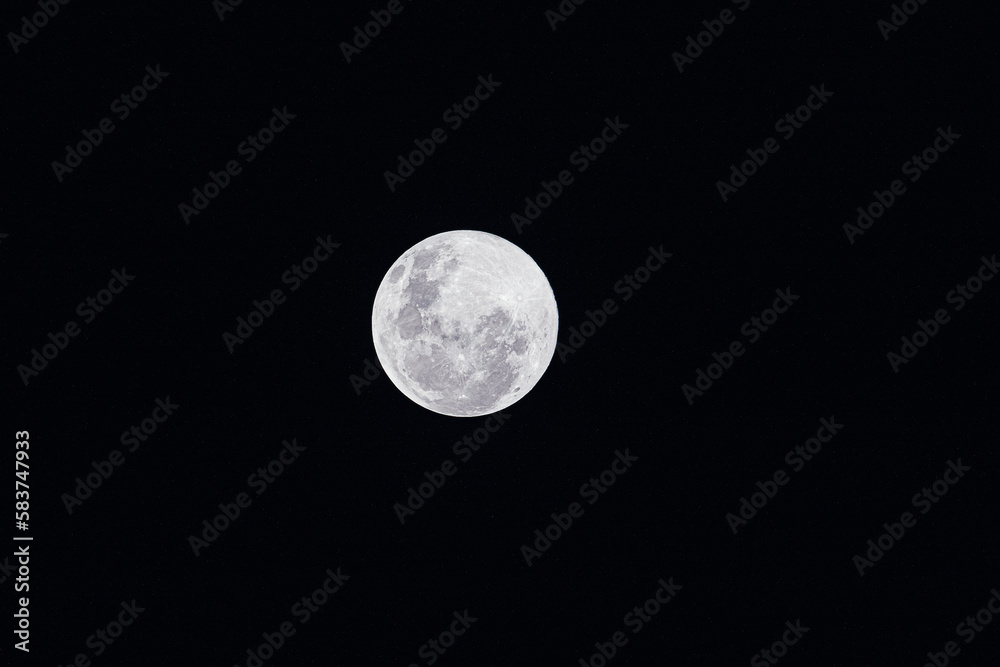 Obraz premium full moon in the night sky