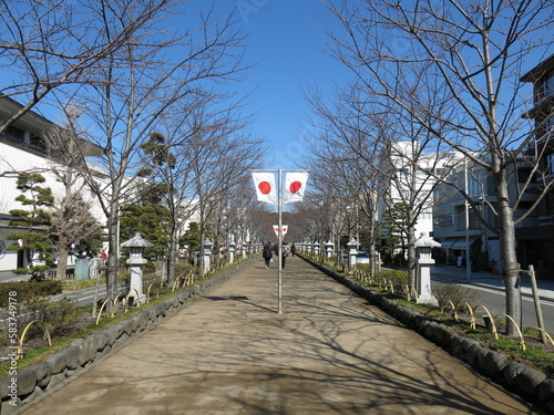 鎌倉市の若宮大路にある段葛（鶴岡八幡宮参道）　Dankazura photo