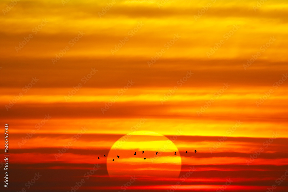 Sunrise or sunset sky red orange hot tone cloud with birds flying