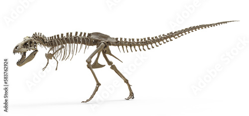 Tyrannosaurus Rex skeleton on isolated. Png transparency © POSMGUYS