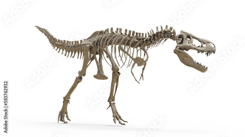 Tyrannosaurus Rex skeleton on isolated. Png transparency © POSMGUYS