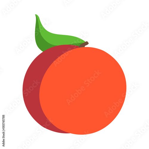 ネクタリン。フラットなベクターイラスト。
Nectarine. Flat designed vector illustration.