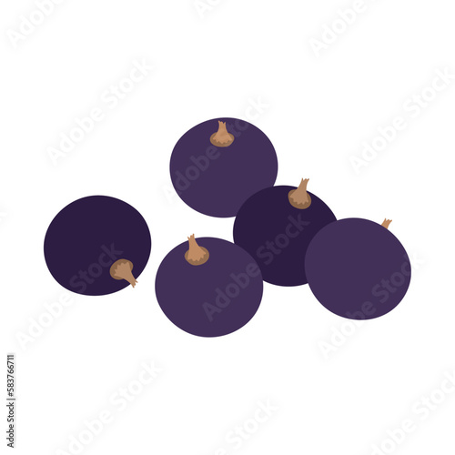 カシス。フラットなベクターイラスト。
Black currant. Flat designed vector illustration.