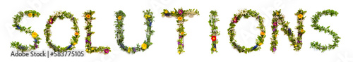 Fototapeta Naklejka Na Ścianę i Meble -  Colorful Blooming Flower Letters Building Word Solutions