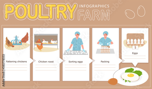 Eggs Production Poultry Infographic