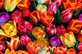 Spring Mixed Colorful Tulip Tulips Flower Flowers Seamless Repeating Repeatable Texture Pattern Tiled Tessellation Background Image