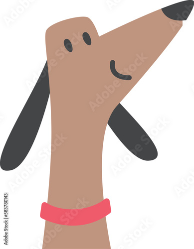 Cute dog pet