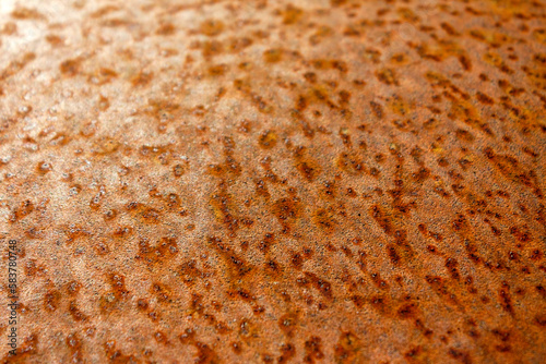 texture of rust