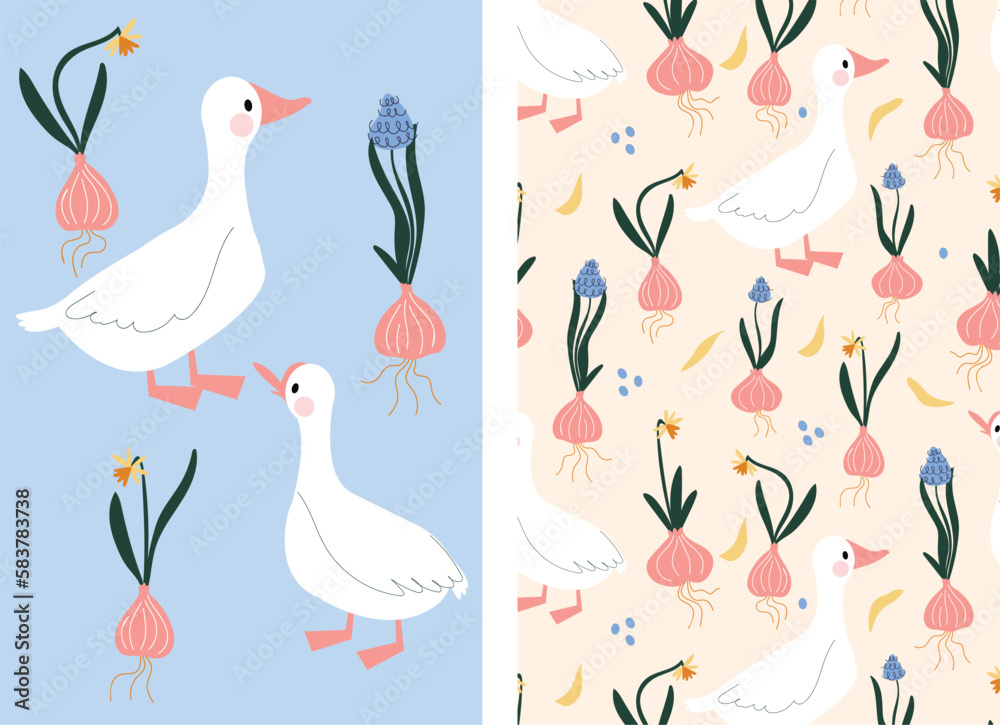 Spring set of illustration and pattern with flowers daffodils, muscari and white geese. Easter cute prints. Two illustrations of ducks and flowers on a blue and pink background