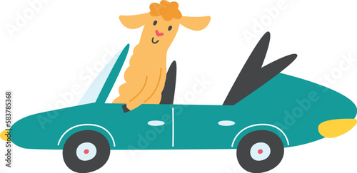 Funny lama inside cabriolet