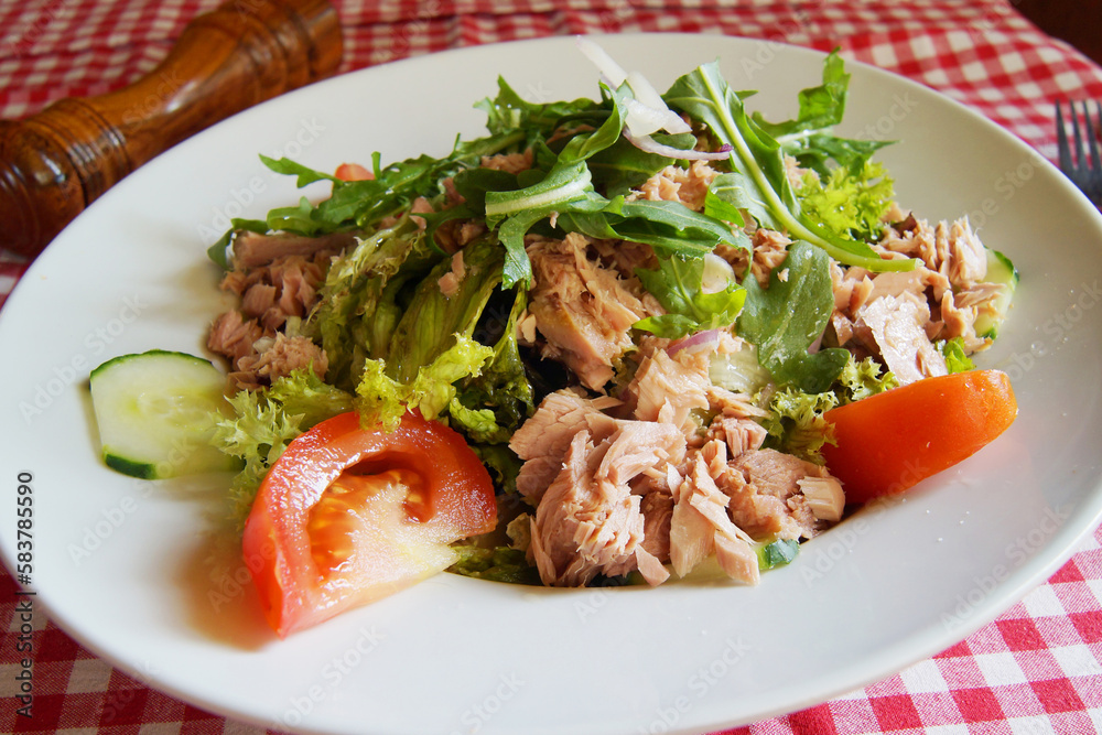 Delicious green salad with tuna and tomato Delicious green salad with tuna and tomato