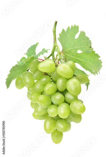 BNunch of green grapes isolated