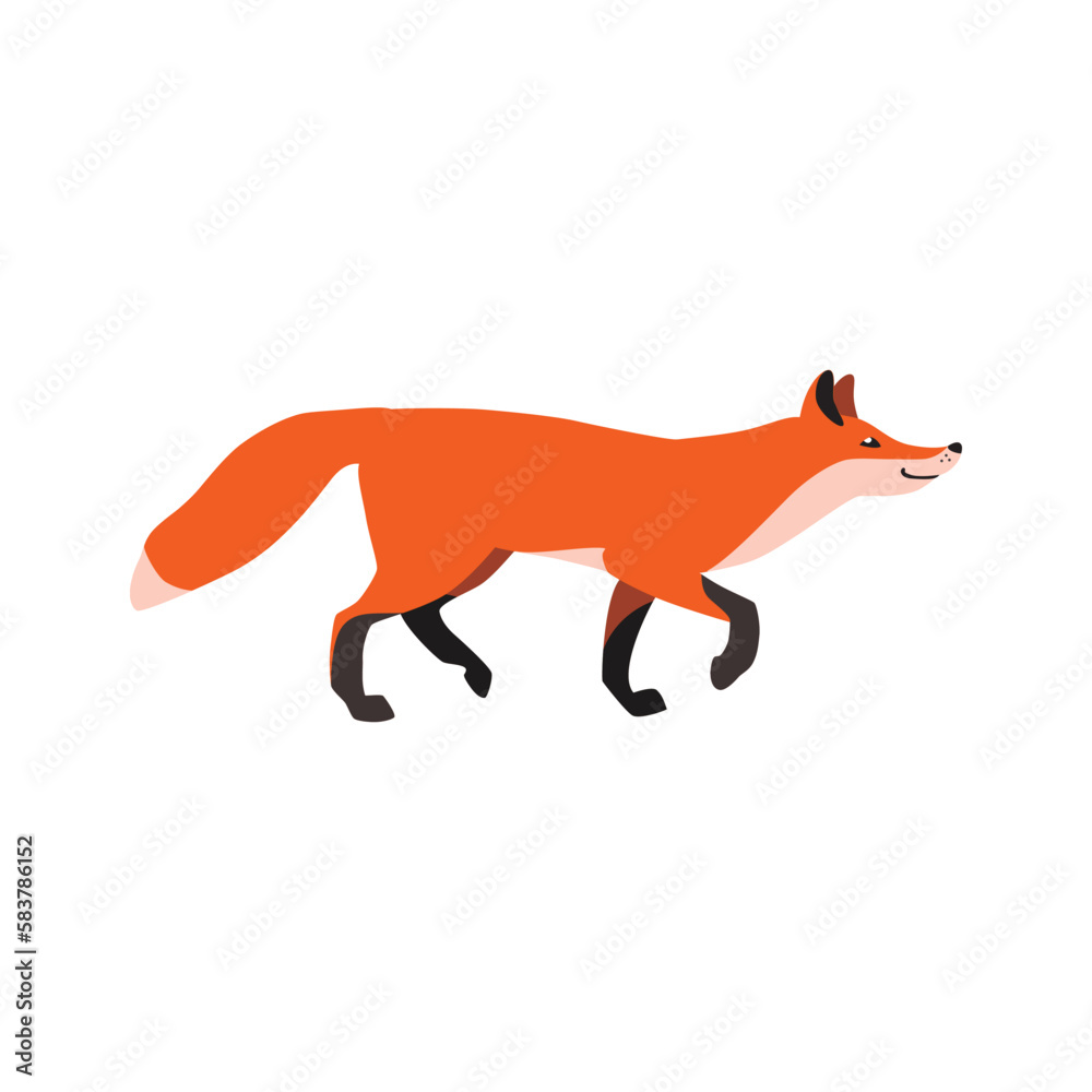 Fototapeta premium Animal illustration. Walking red fox drawn in a flat style. Isolated object on a white background. Vector 10 EPS